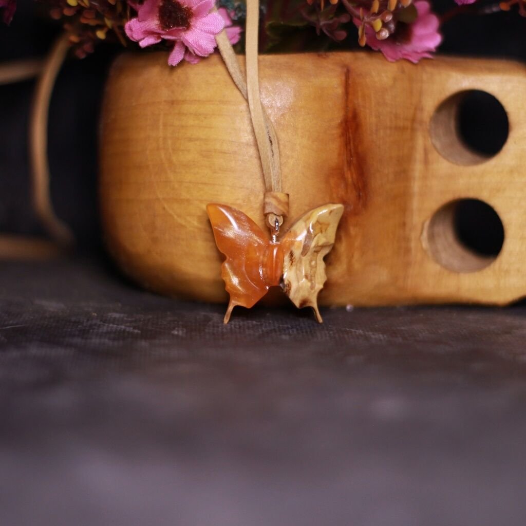 Kelebek (Rhopalocera)