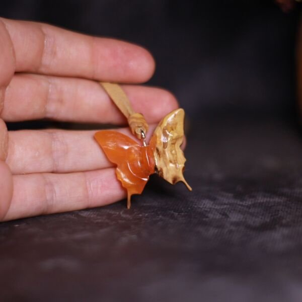 Kelebek (Rhopalocera)