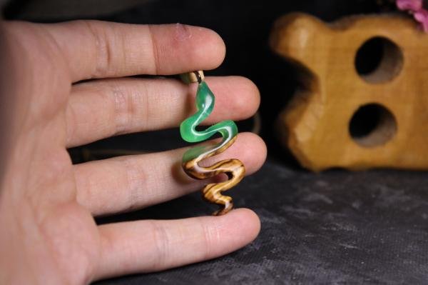 Yılan (Serpentes)