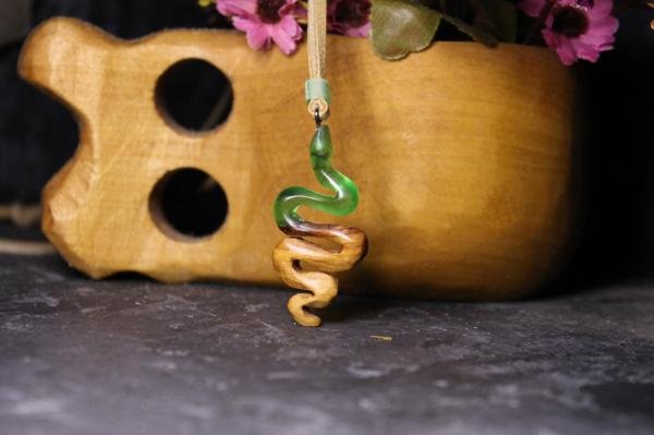 Yılan (Serpentes)