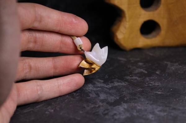 Lotus Çiçeği