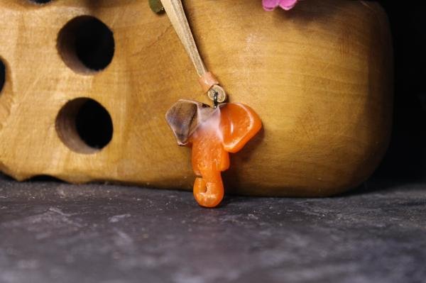 Fil (Loxodonta)