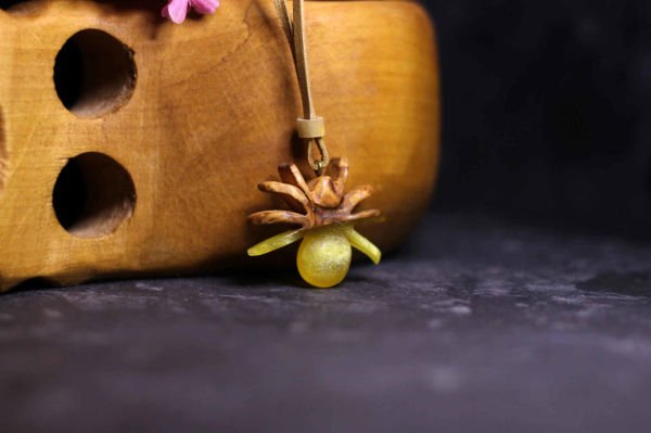 Örümcek (Tarantula)