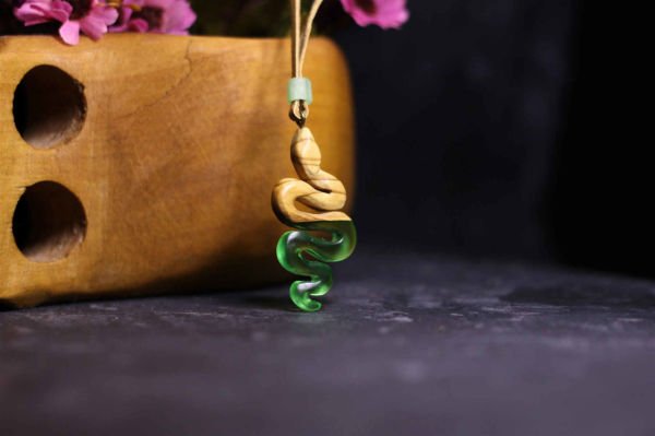 Yılan (Serpentes)