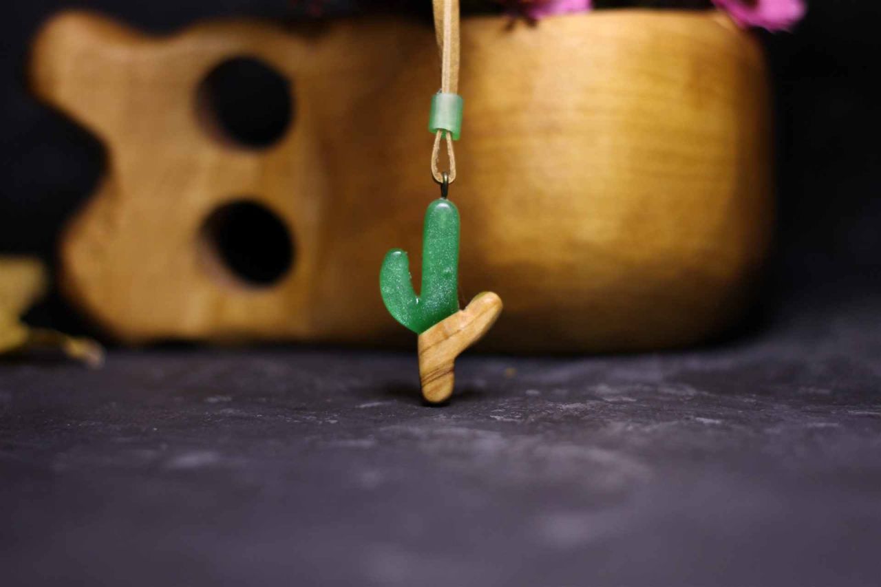 Kaktüs (Cactaceae)