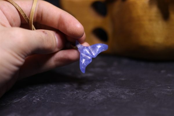 Kuyruk