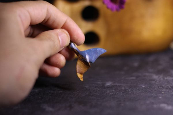 Kuyruk