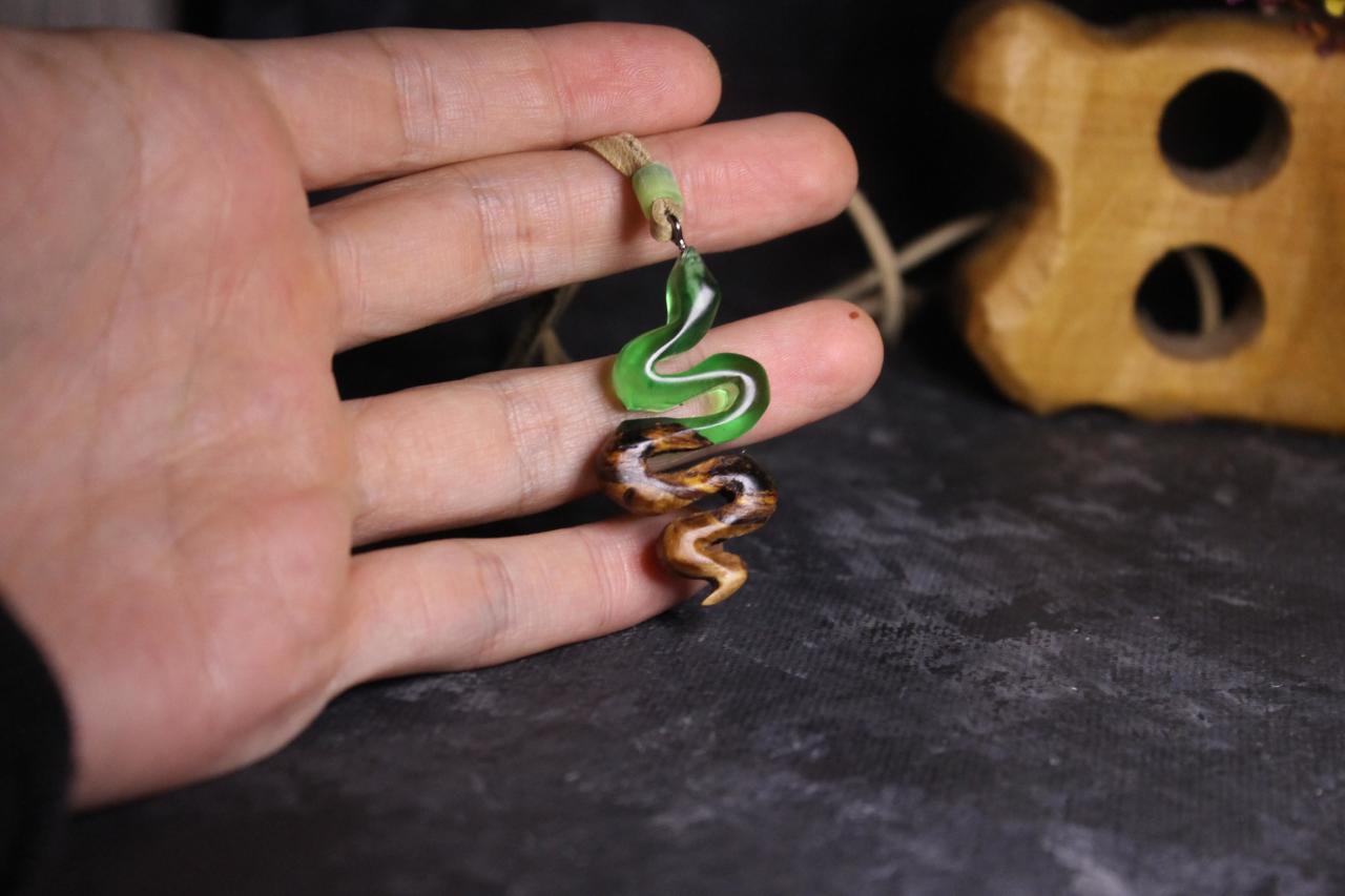 Yılan (Serpentes)