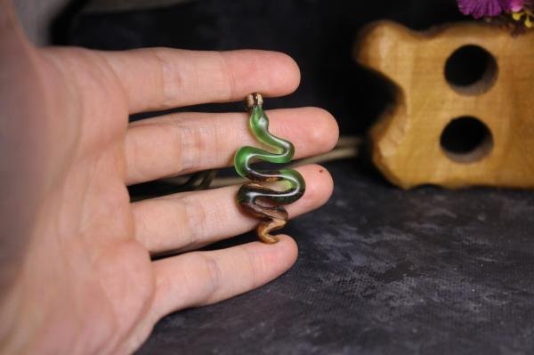 Yılan (Serpentes)