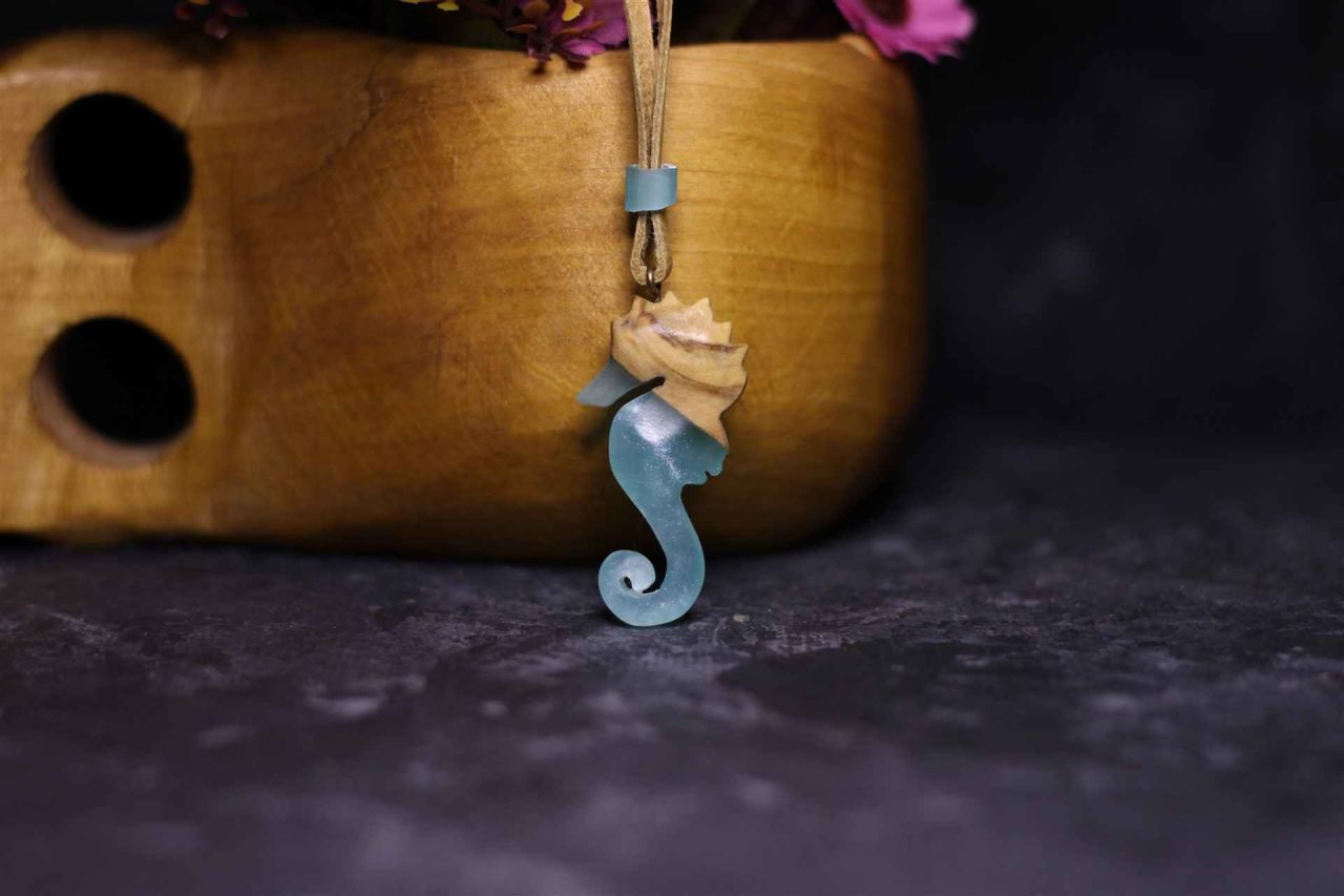 Deniz Atı (Hippocampus)