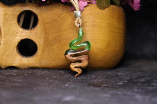 Yılan (Serpentes)
