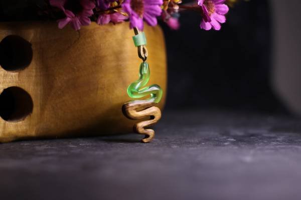 Yılan (Serpentes)