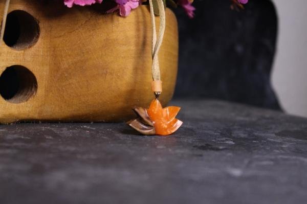 Lotus Çiçeği