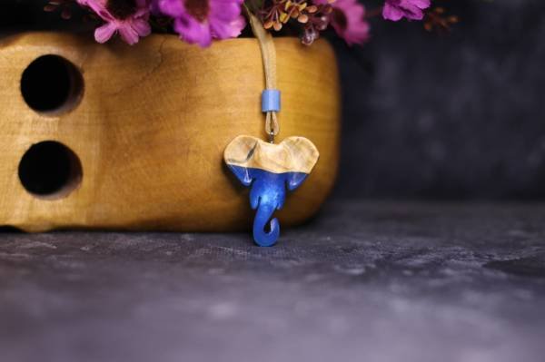 Fil (Loxodonta)