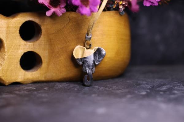 Fil (Loxodonta)