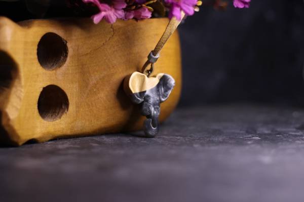 Fil (Loxodonta)