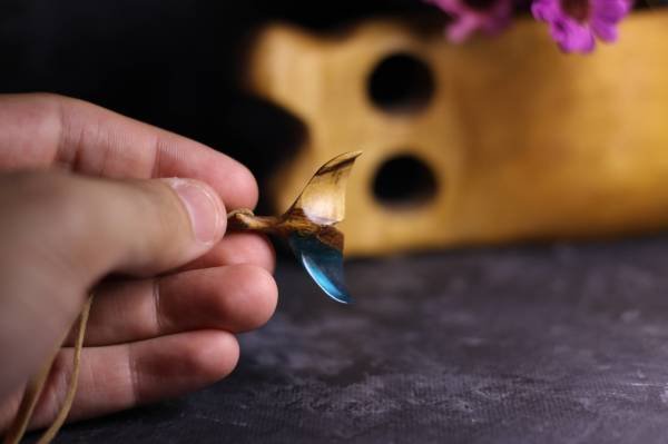 Kuyruk
