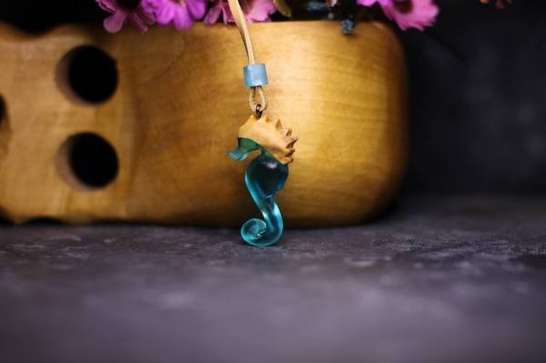 Deniz Atı (Hippocampus)