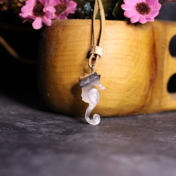Deniz Atı (Hippocampus)