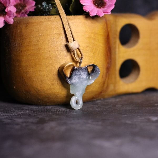 Fil (Loxodonta)