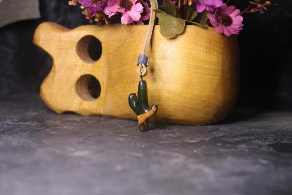 Kaktüs (Cactaceae)