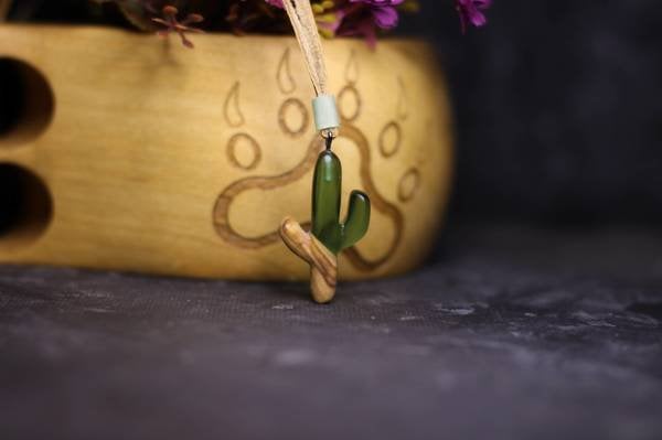Kaktüs (Cactaceae)
