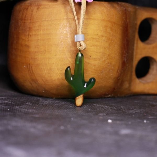 Kaktüs (Cactaceae)