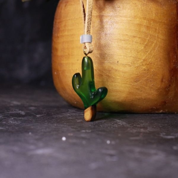 Kaktüs (Cactaceae)