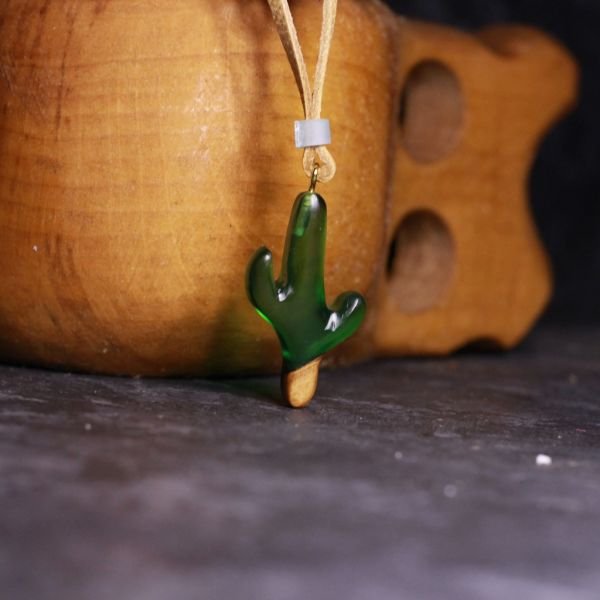 Kaktüs (Cactaceae)