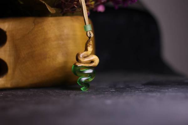 Yılan (Serpentes)