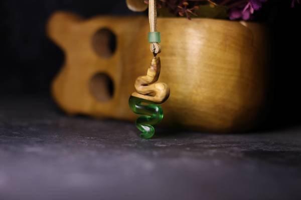 Yılan (Serpentes)