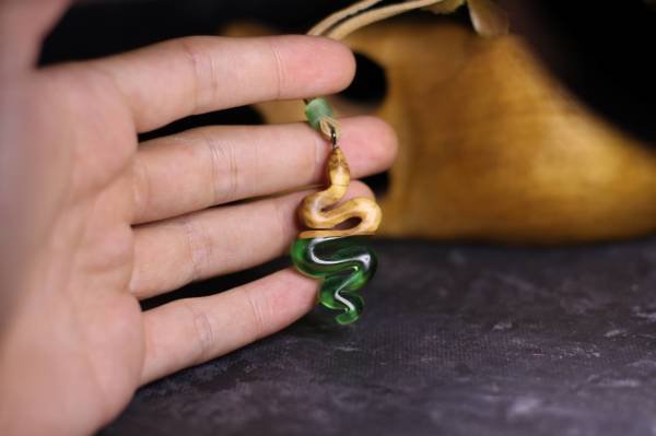 Yılan (Serpentes)