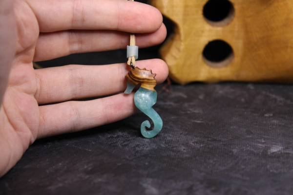 Deniz Atı (Hippocampus)