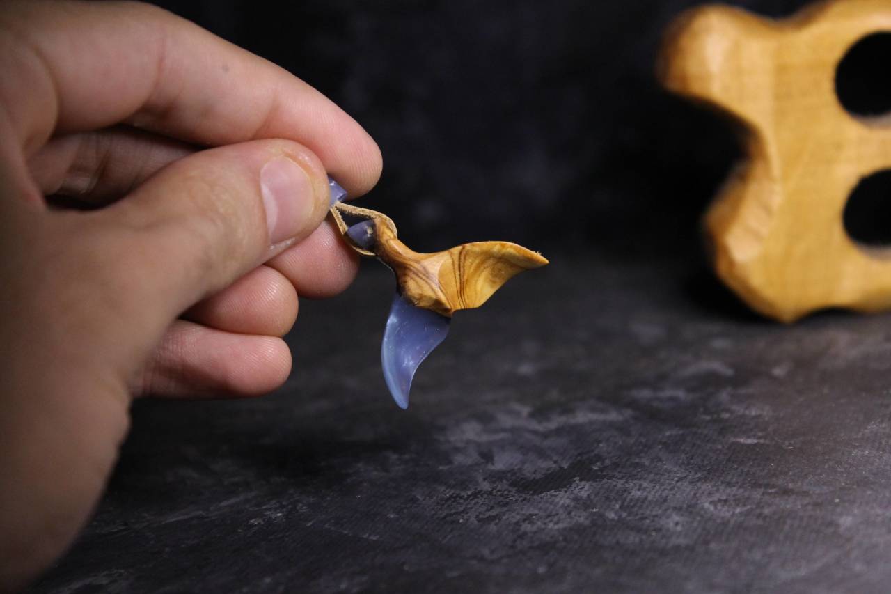 Kuyruk